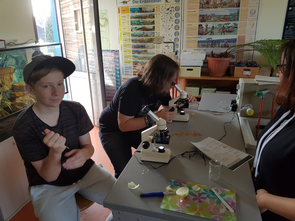chemie-in-klasse-8