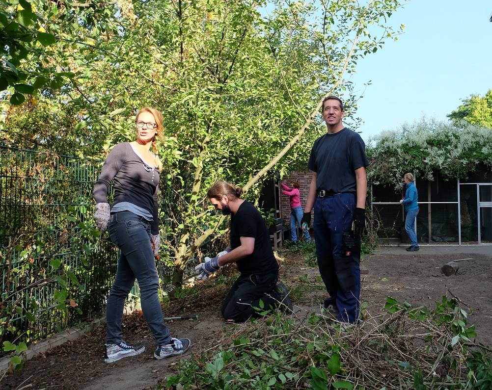 gartenarbeit